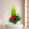 Anthurium Rouge — fleurs de deuil livrees a Paris