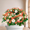 Couronne Hommage — fleurs de deuil livrees a Paris