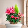 Plante Verte Hommage — fleurs de deuil livrees a Paris